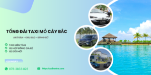 Taxi Mỏ Cày Bắc