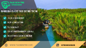 TAXI GIỒNG TRÔM